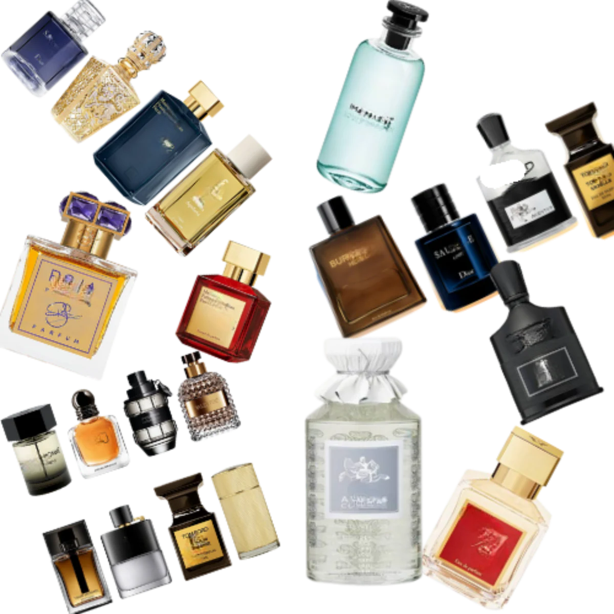 5+ Luxury Cologne Vendors + Guide